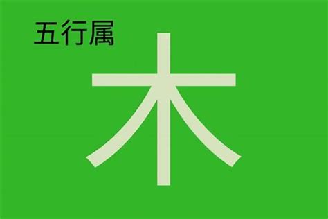 竹 五行|竹字的五行属性